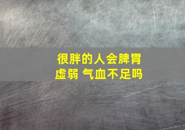 很胖的人会脾胃虚弱 气血不足吗